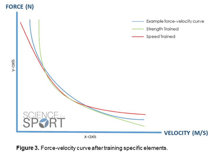 Three types of Masters Athletes – Human Kinetics