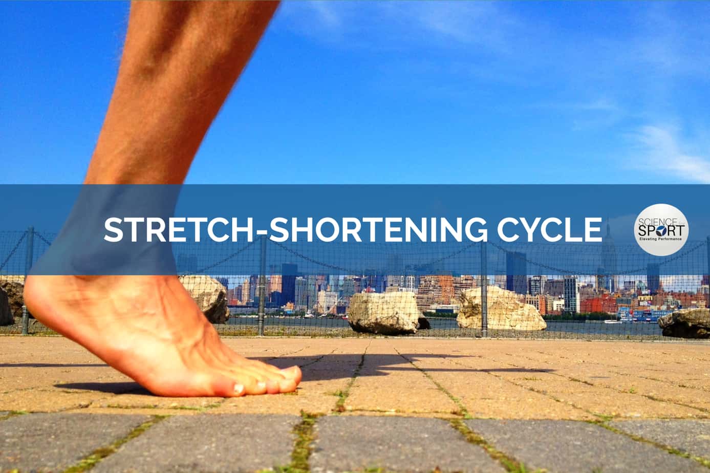 Stretch shortening cycle- Science For Sport