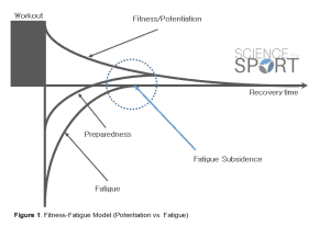 Figure 1 - The fitness-fatigue theory
