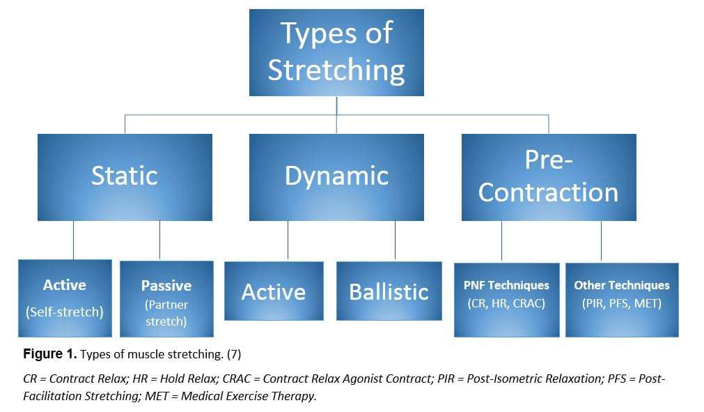 Post-Exercise Stretching