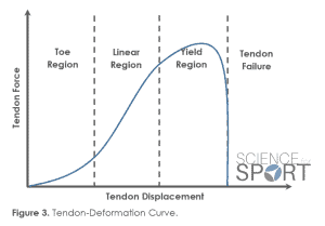 Figure 3 - Tendon-Force Deformation Curve (Toe-Region) - Science for Sport