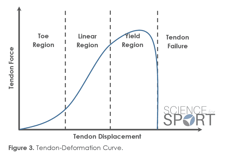 Figure-3-Tendon-Force-Deformation-Curve-Toe-Region-Science-for-Sport.png