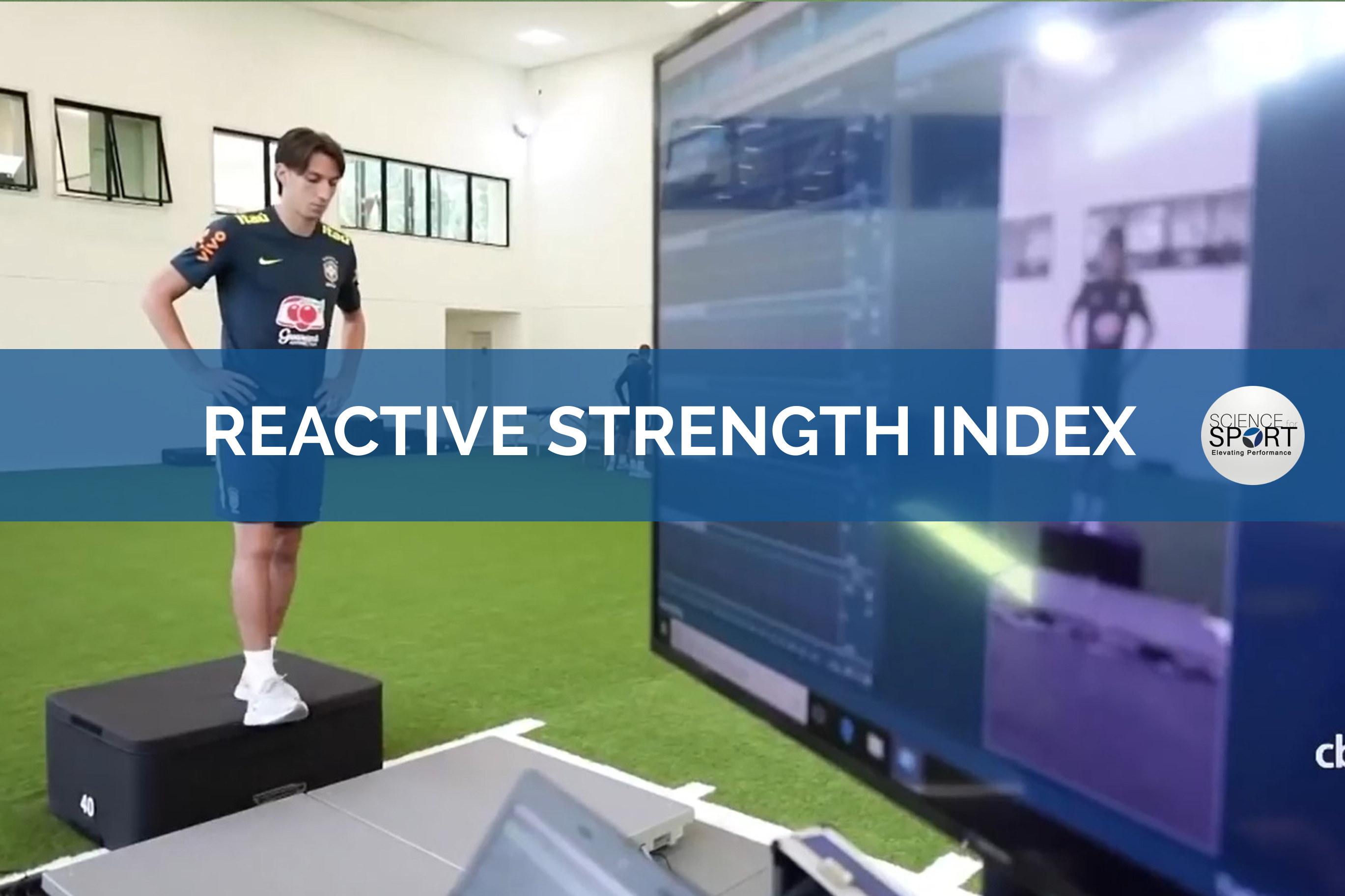 Reactive Strength Index Chart