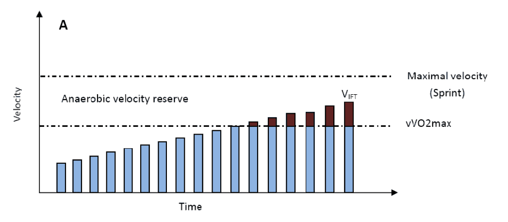 Vvo2max Chart