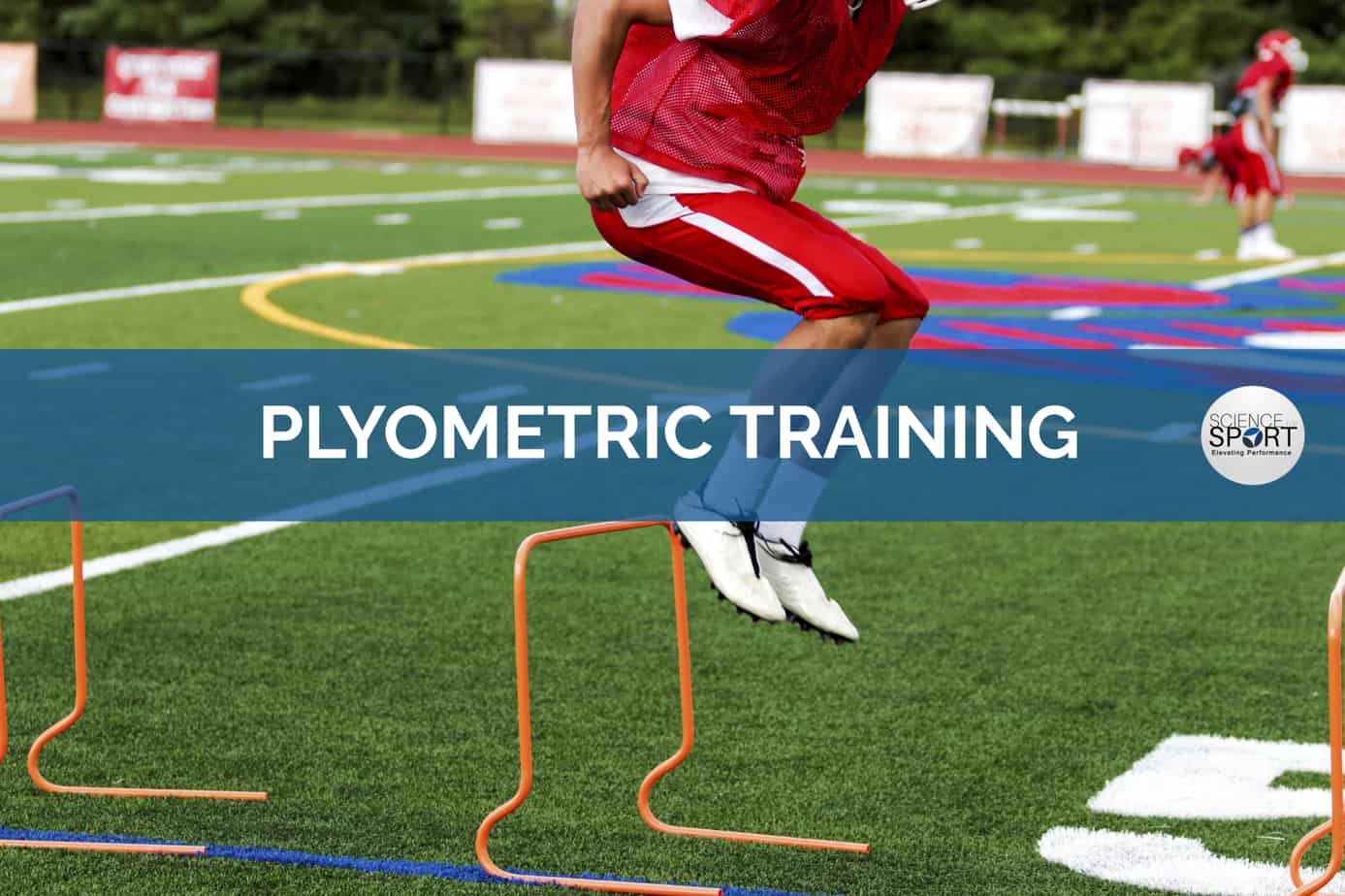 best trainers for plyometrics