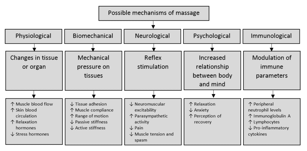 Image showcasing Massage