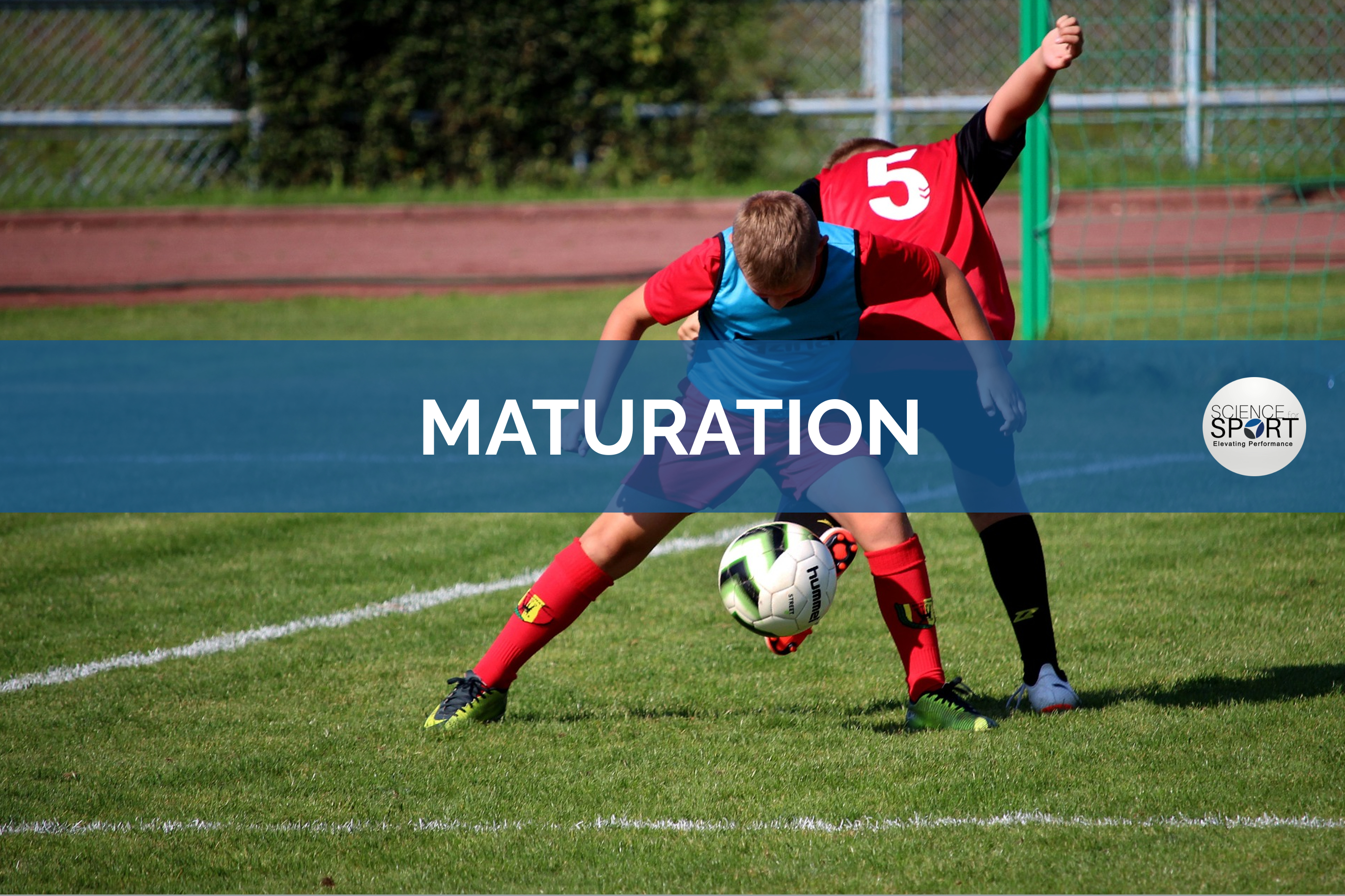 What Is A Maturation