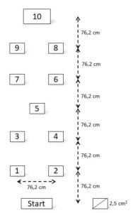 Modified BASS Balance Test - Science for Sport