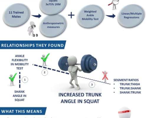 Does Ankle Mobility and Segment Ratios Influence Trunk Angle in the Squat - Science for Sport