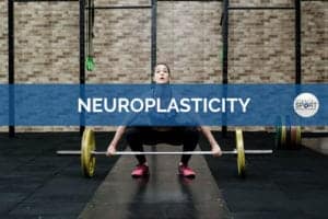 Neuroplasticity - Science for Sport - Sports Science