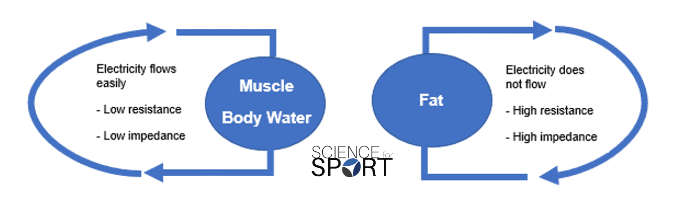 Body composition methods: validity and reliability