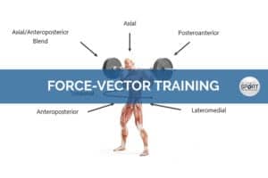 Force-Vector Training - Science for Sport - Strength and Conditioning