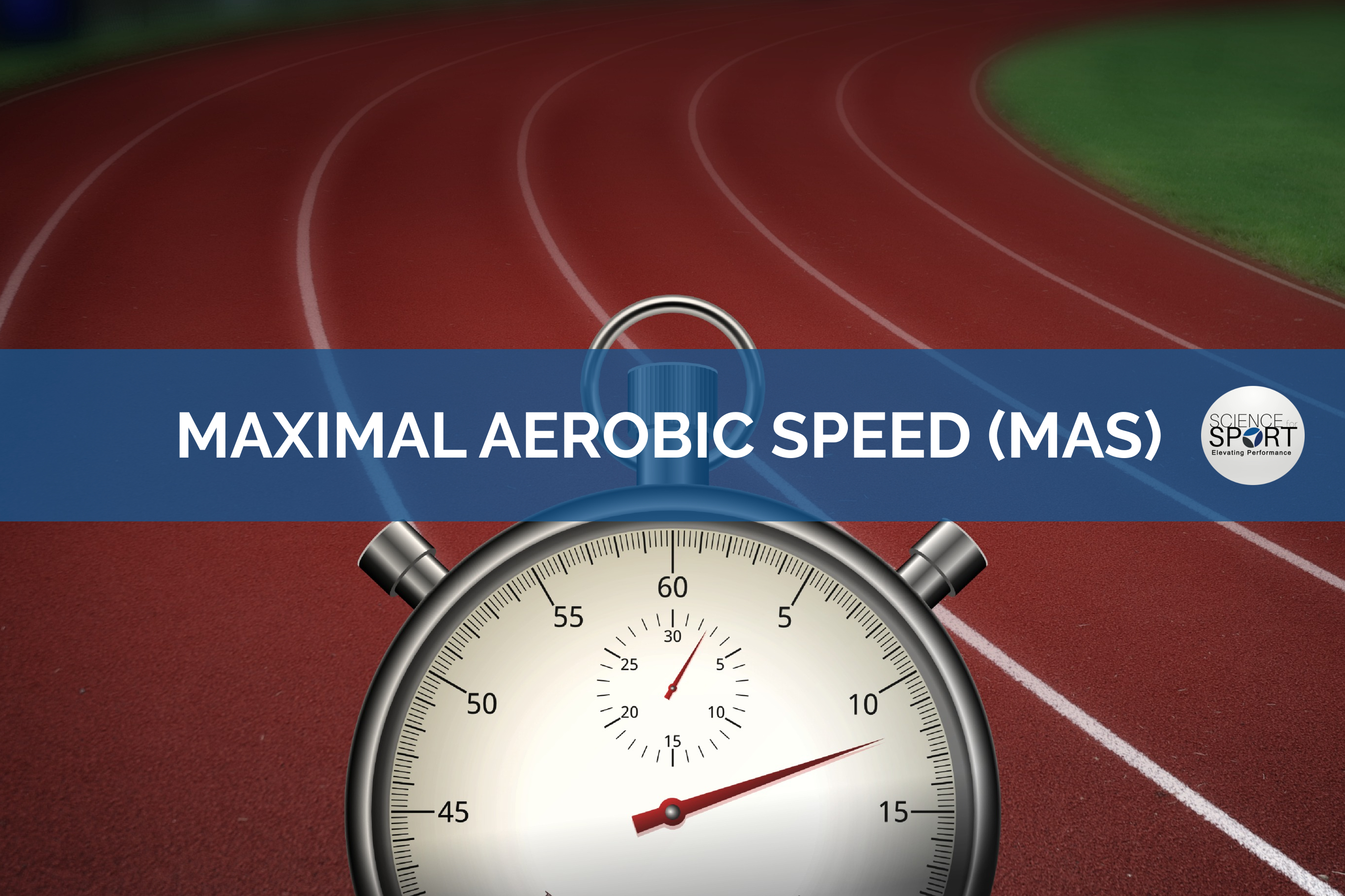 maximal aerobic speed (MAS) - Science for sport