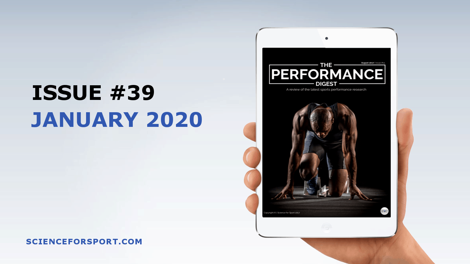 Performance Digest - December 19 (Issue #3)