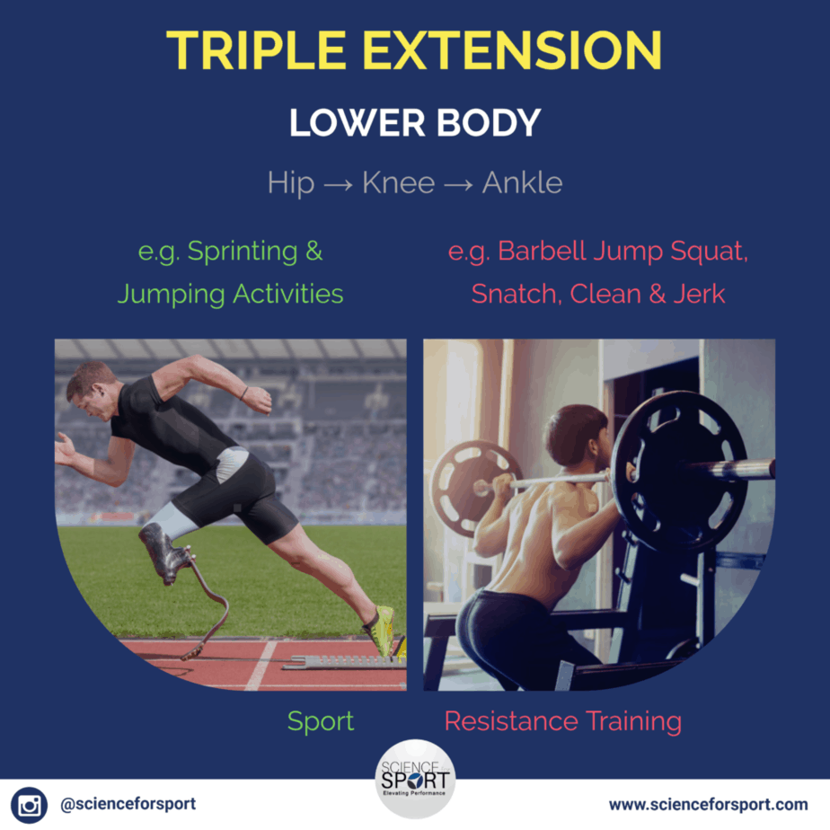 Lower Body Triple Extension