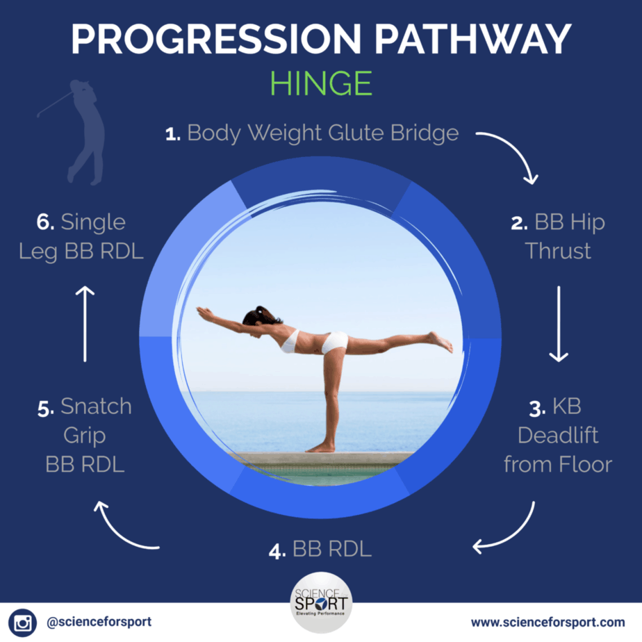 Progression Pathway - Hinge