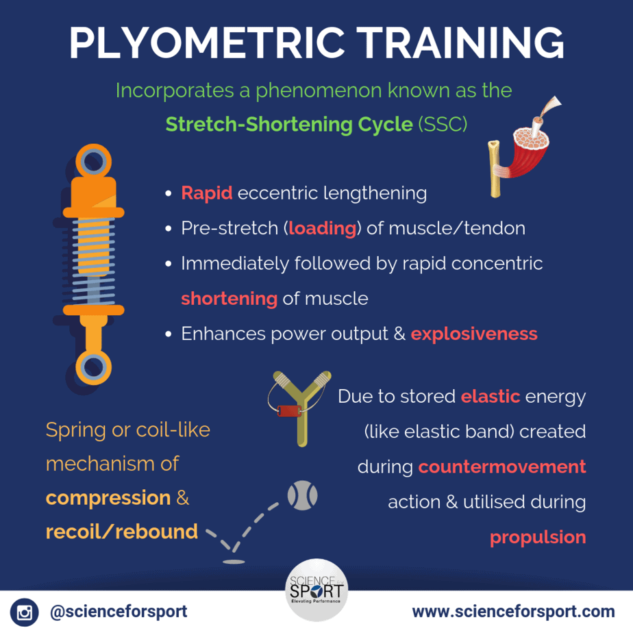 Plyometric Training Science for Sport
