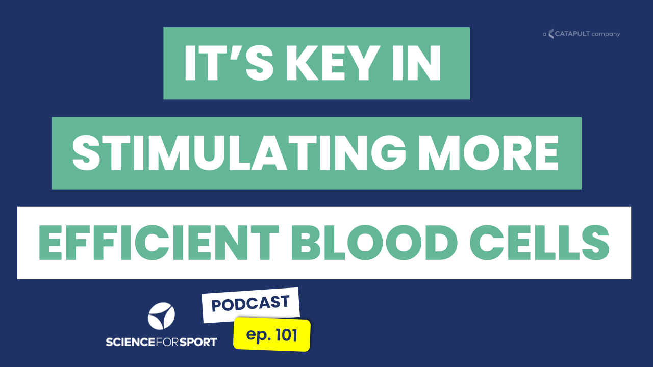 101: Altitude Training: Take Your Aerobic Performance To New Heights