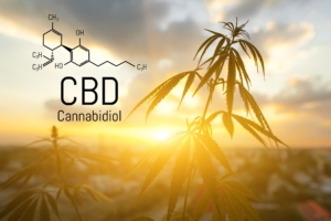 The use of cannabidiol in sporting circles is only likely to increase.