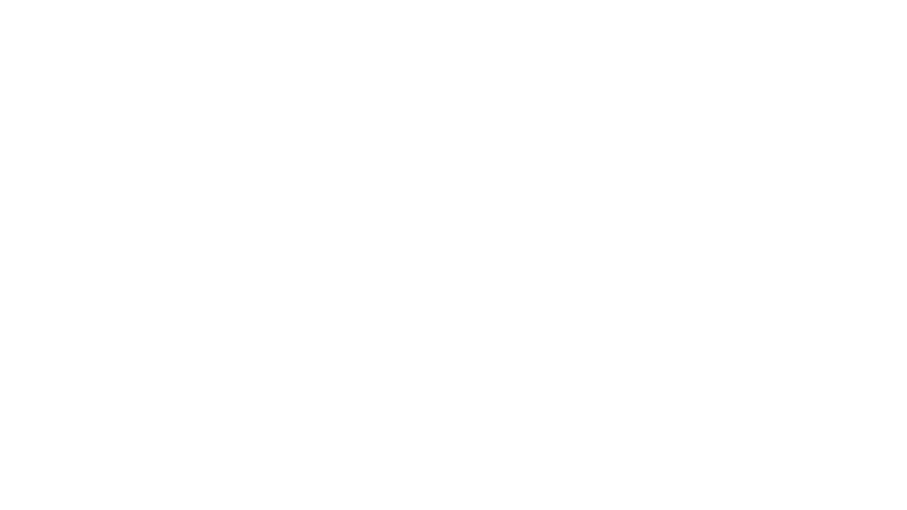 SFS Academy logo - white