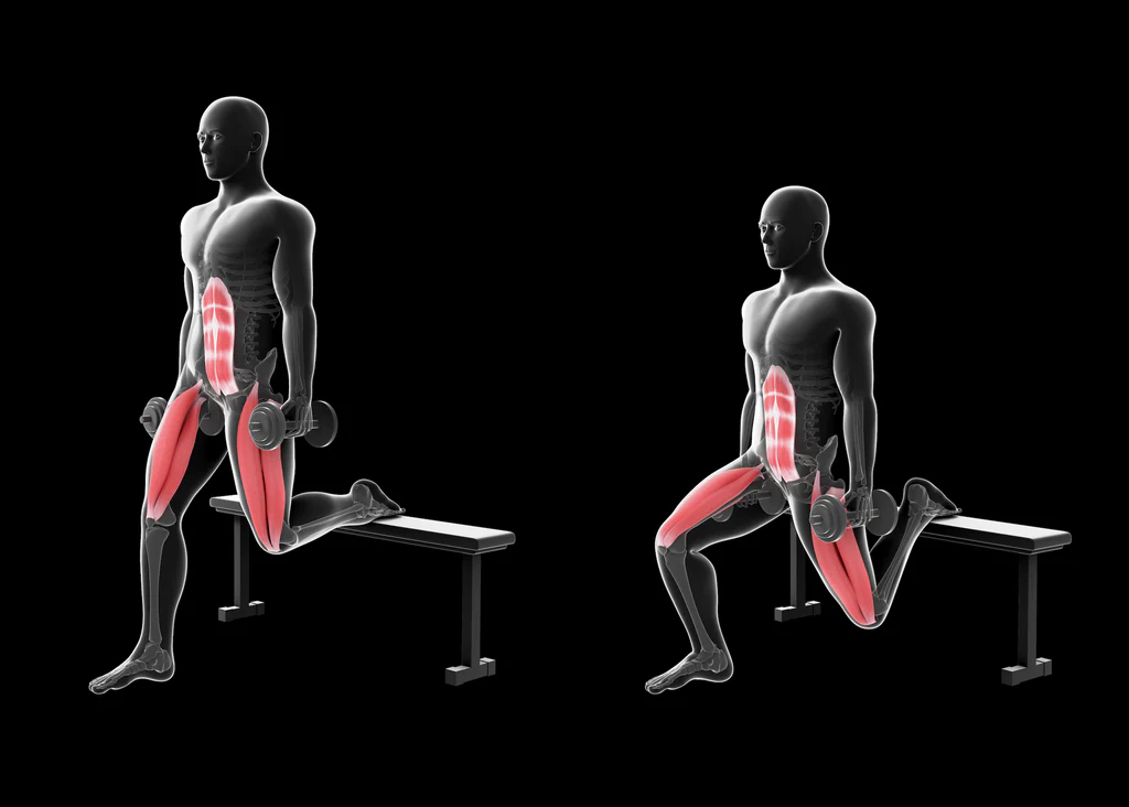 Bulgarian Squat How To Do A Bulgarian Split Squat Exercise Erin