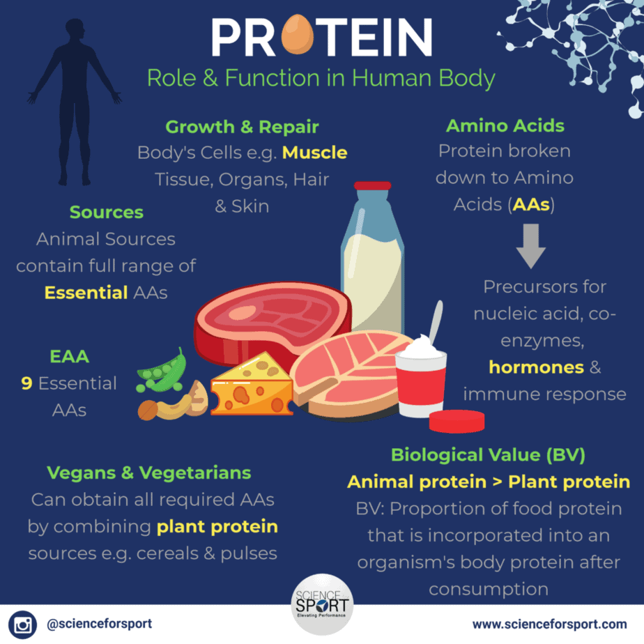 Protein-1030x1030-1