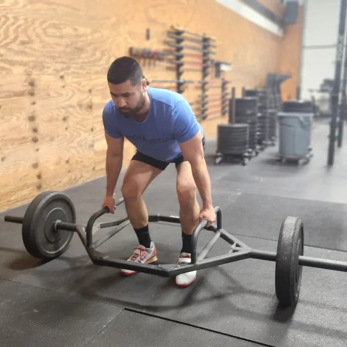 Rogue barbell 2025 price