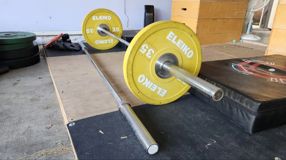 15 Best Barbells For Home Gym (2024)