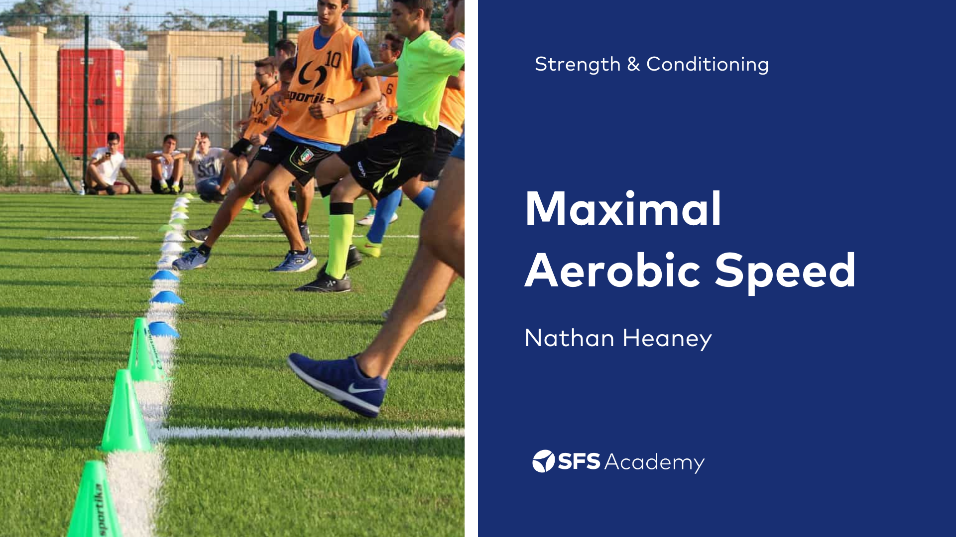 Maximal-aerobic-speed